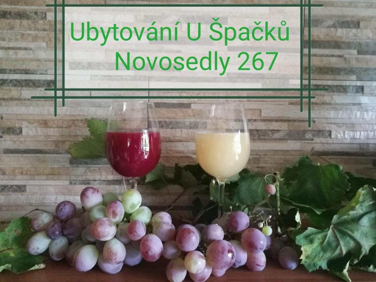 Ubytovani U Spacku Palava Novosedly  المظهر الخارجي الصورة