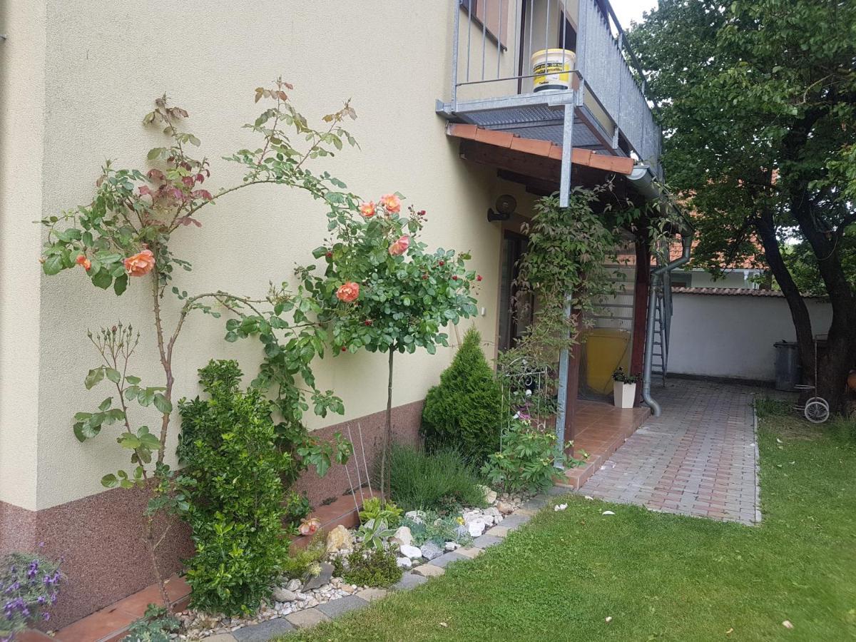 Ubytovani U Spacku Palava Novosedly  المظهر الخارجي الصورة
