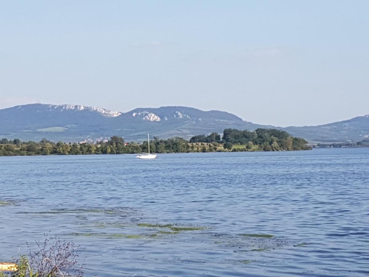 Ubytovani U Spacku Palava Novosedly  المظهر الخارجي الصورة